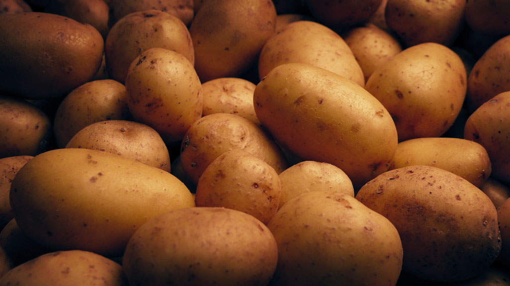 Potatoes: Electric desiccation optimises the ripening process