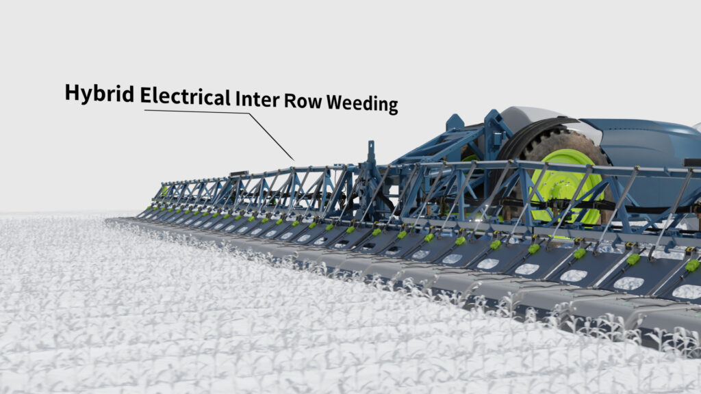 Effectiveness Against Perennial Weeds