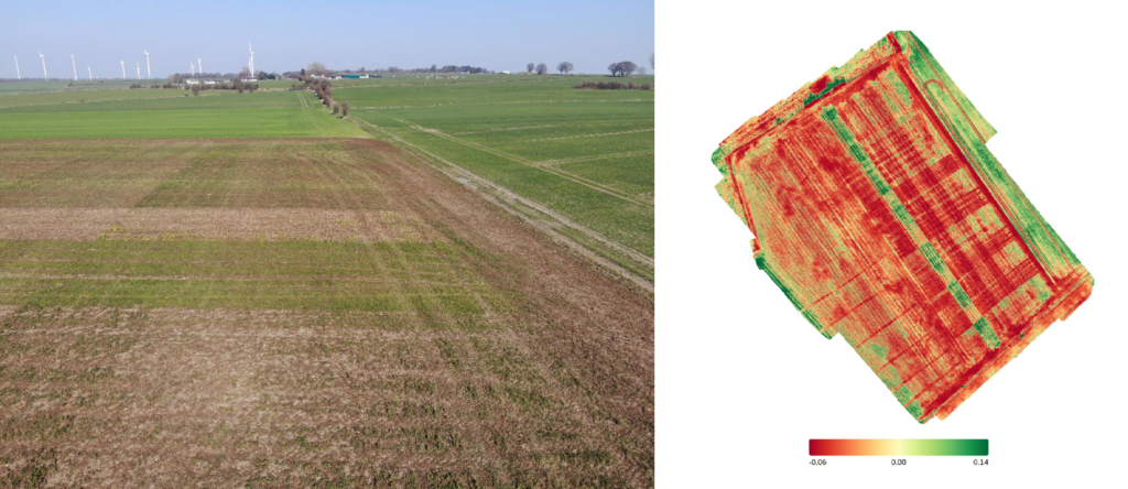 Drone images for test evaluation and false colour image NDVI for green classification