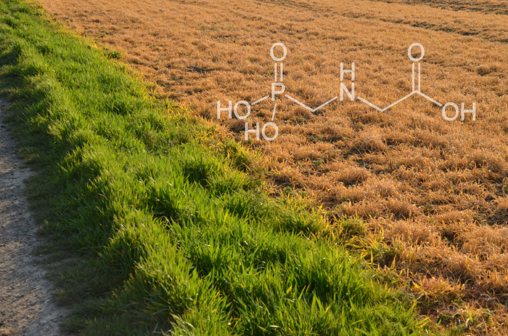 Glyphosate: Composition and Impact on the Environment 