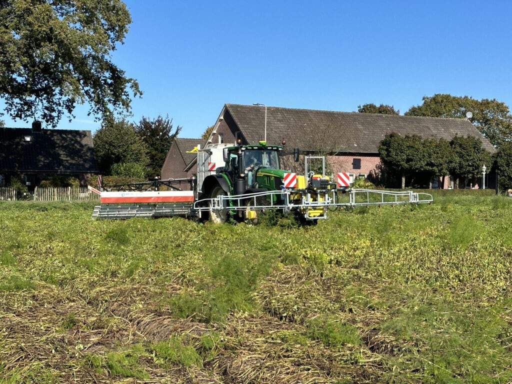 Siccation agents are crucial for potato harvest preparation.