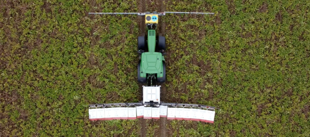 Mit crop.zone Baumwollentlaubung: Vorbereitung auf eine erfolgreiche Ernte