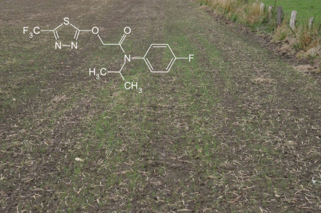 The control of weed grasses is becoming an ever greater challenge due to resistance and ever fewer authorised herbicides. 