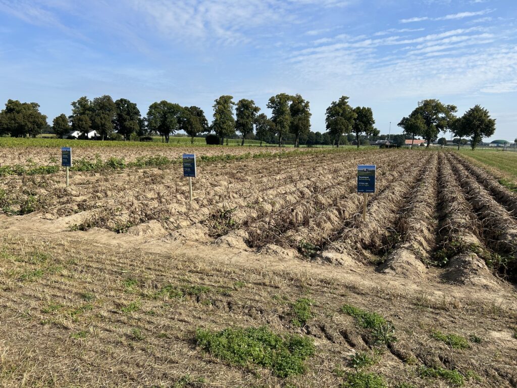 Präzisionslandwirtschaft: Die Zukunft der effizienten Landwirtschaft