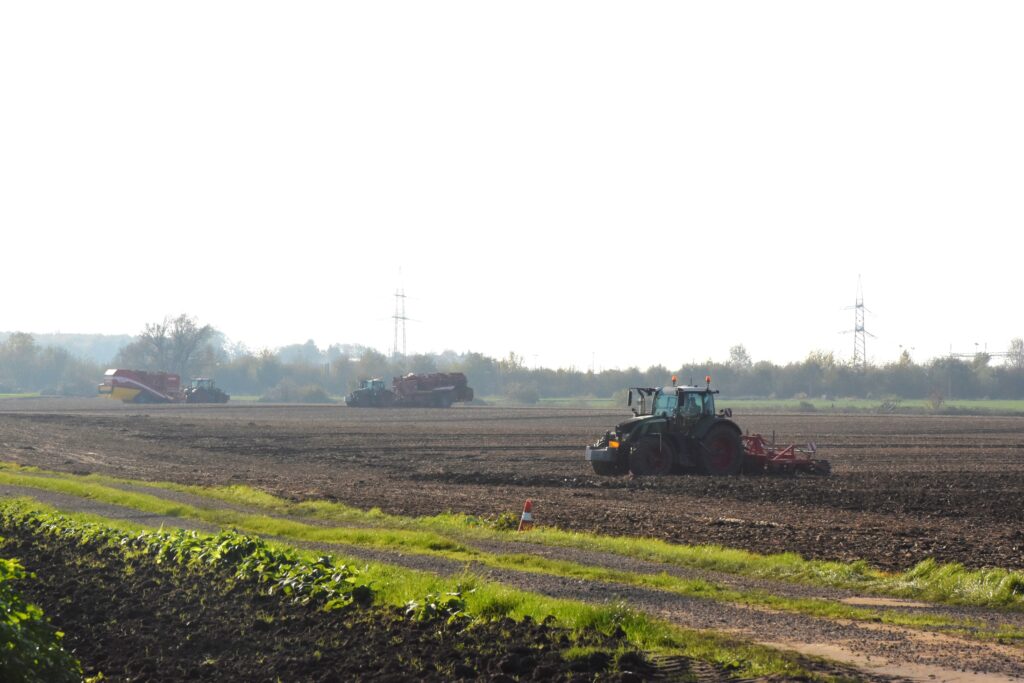 Harvest late and prepare for sowing again immediately. 